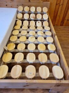 Abverkauf Möbel RELAX 2000 Tellerlattenrost 2